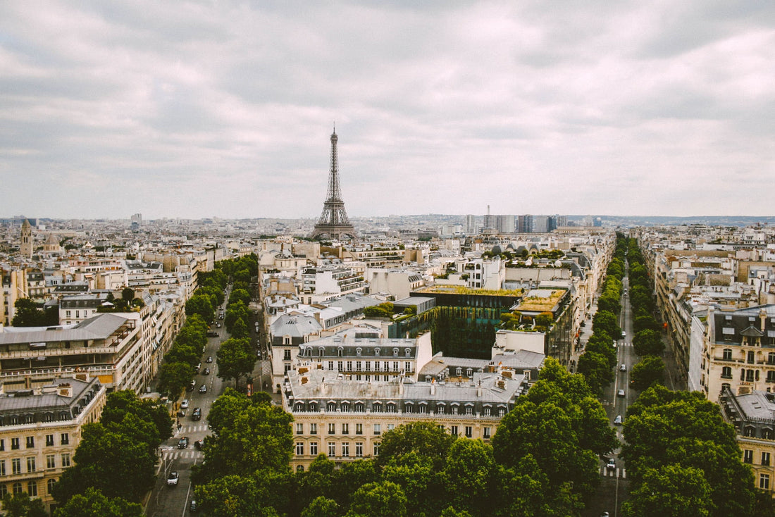 Vue sur les toits de Paris et la Tour Eiffel depuis les hauteurs