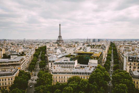 Vue sur les toits de Paris et la Tour Eiffel depuis les hauteurs