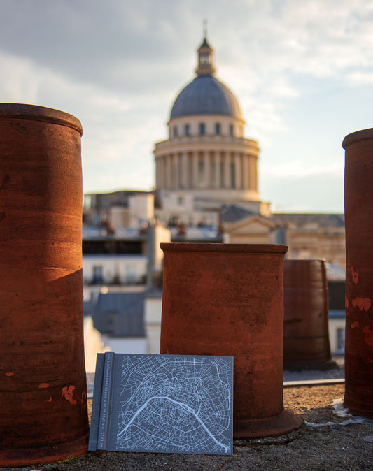 Cheminées typiques sur les toits de Paris