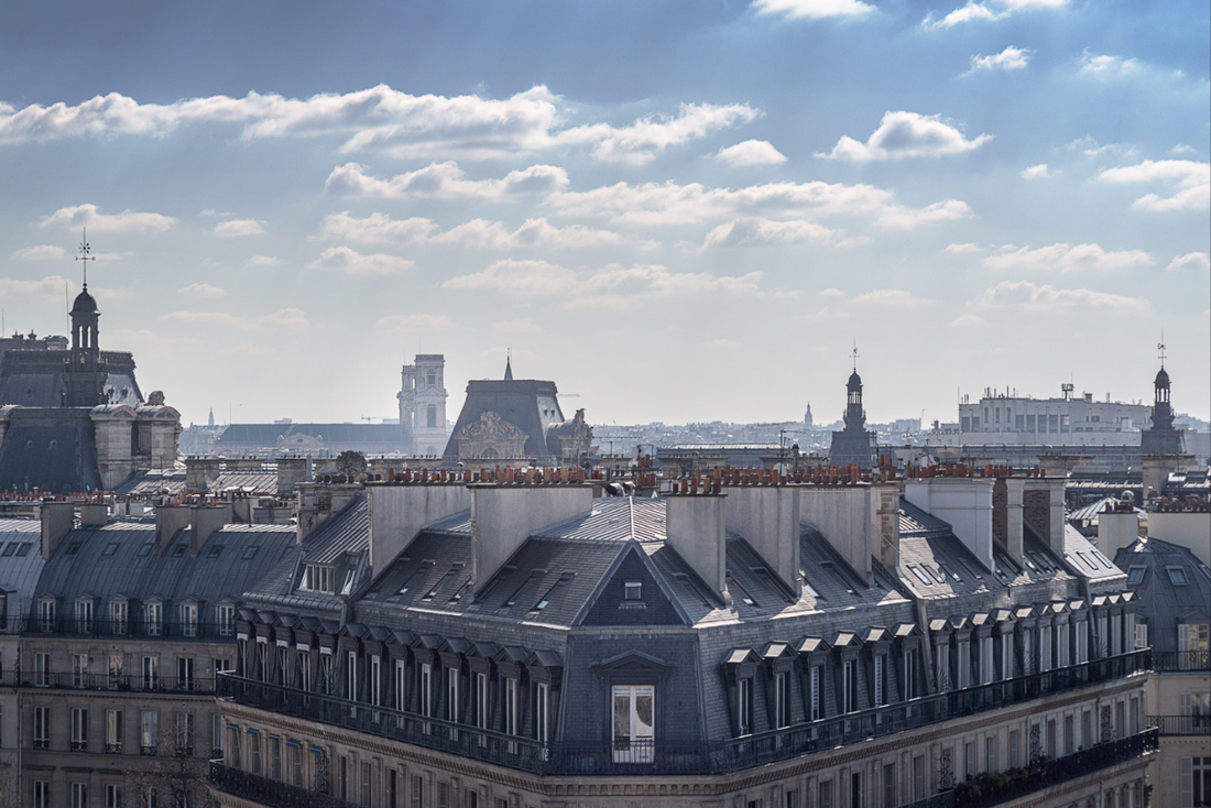 Vue des toits de Paris depuis les hauteurs