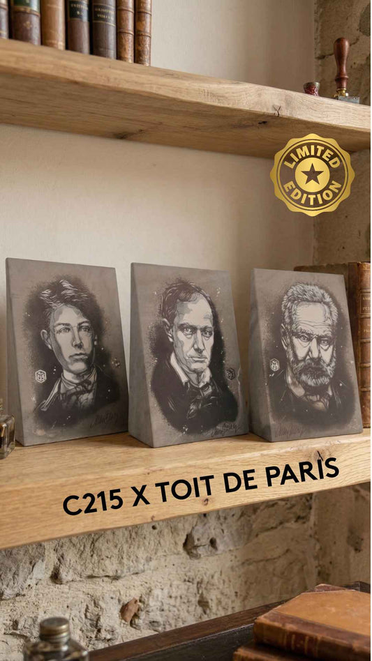 Œuvre d’Art by C215xToit de Paris
