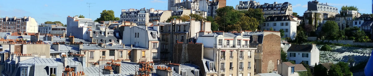 Patrimoine historique Toit de Paris